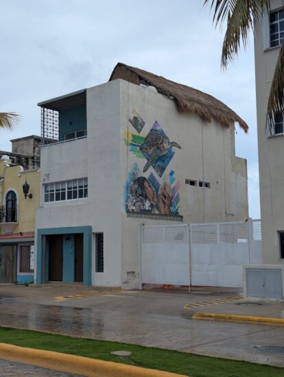 Sights from around Punta Langosta Cozumel