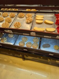 Mega Store in Cozumel Mexico