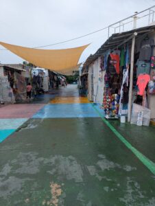 Sights from around Punta Langosta Cozumel