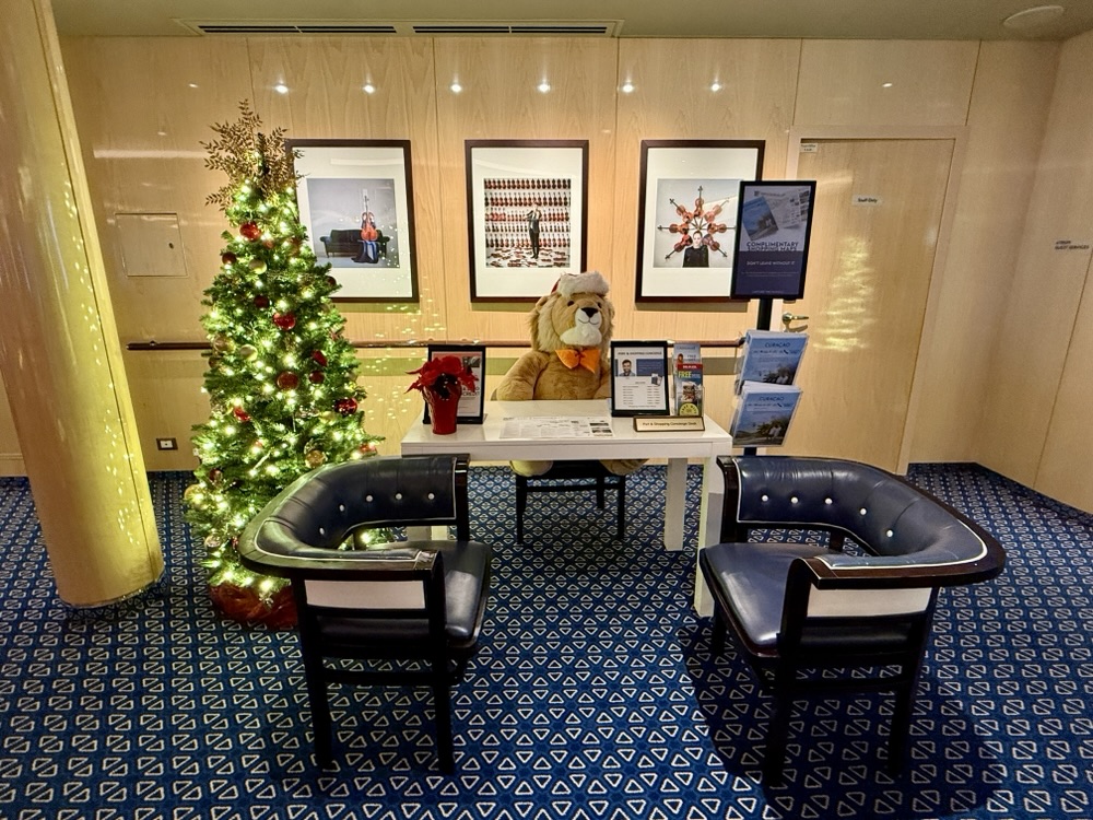 Rotterdam's Christmas Decorations