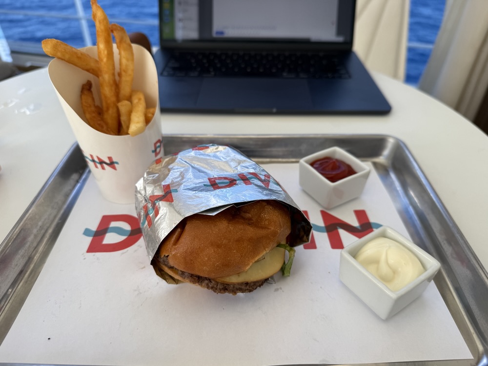 A disappointing burger from the Dive-In on Rotterdam