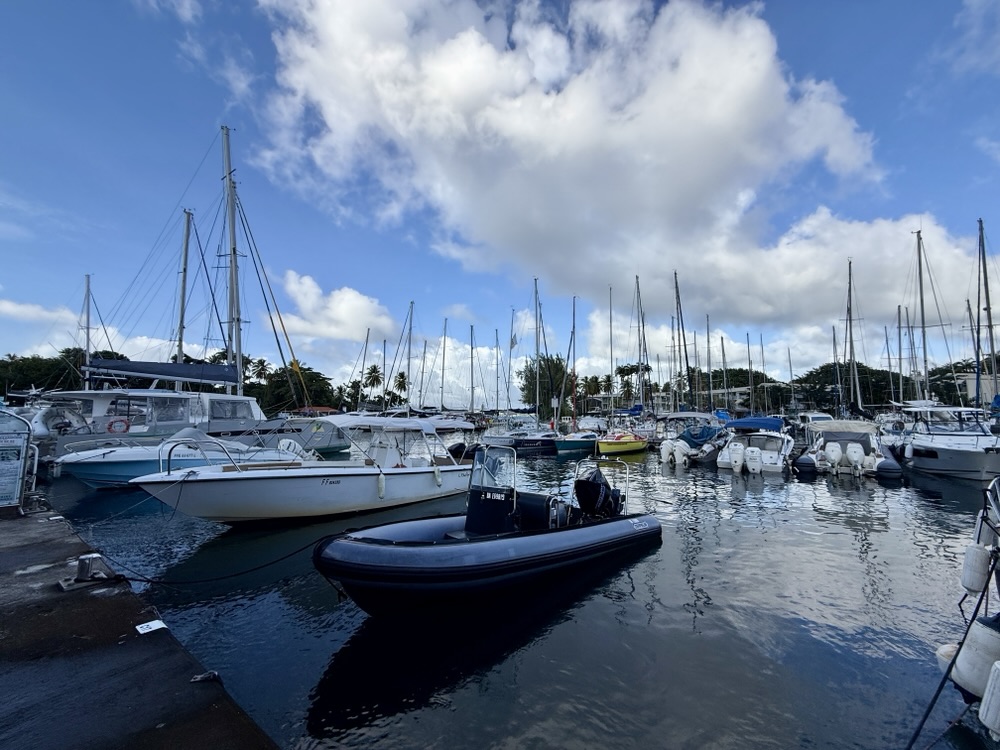 The Marina in Les Trois-Îlets 