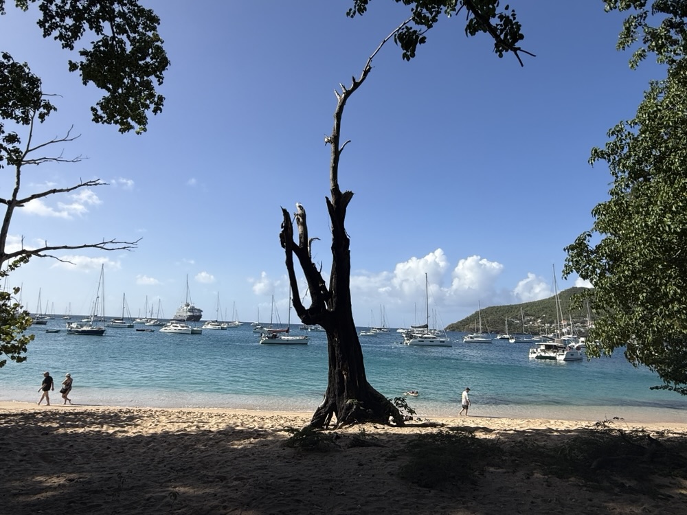 The beach in Bequia