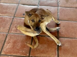 Kingstown, St Vincent and the Grenadines