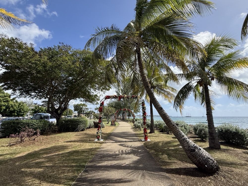 Christmas decorations in Barbados