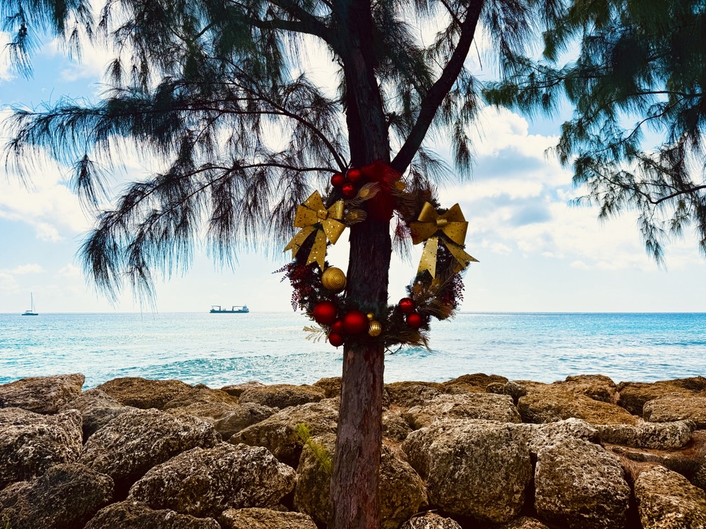 Christmas decorations in Barbados