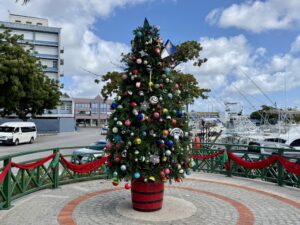 Christmas decorations in Barbados