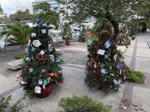 Christmas decorations in Barbados