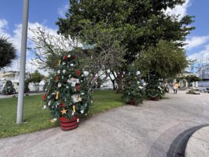 Christmas decorations in Barbados