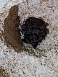 Cayman Crystal Caves