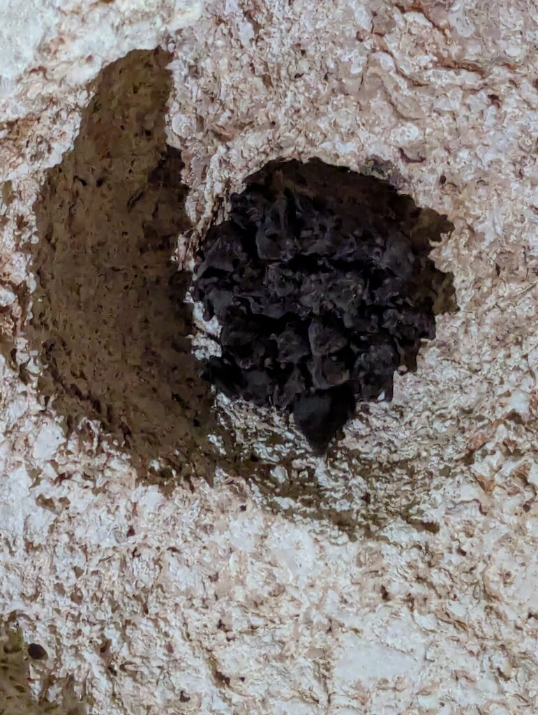 Cayman Crystal Caves