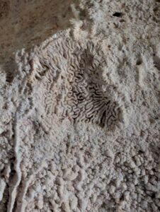 Cayman Crystal Caves