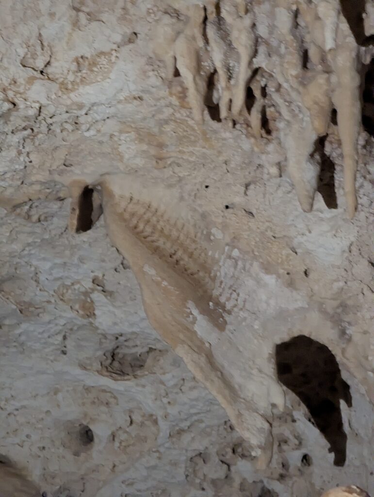 Cayman Crystal Caves