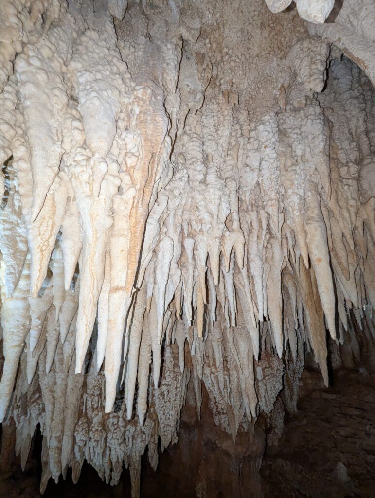 Cayman Crystal Caves