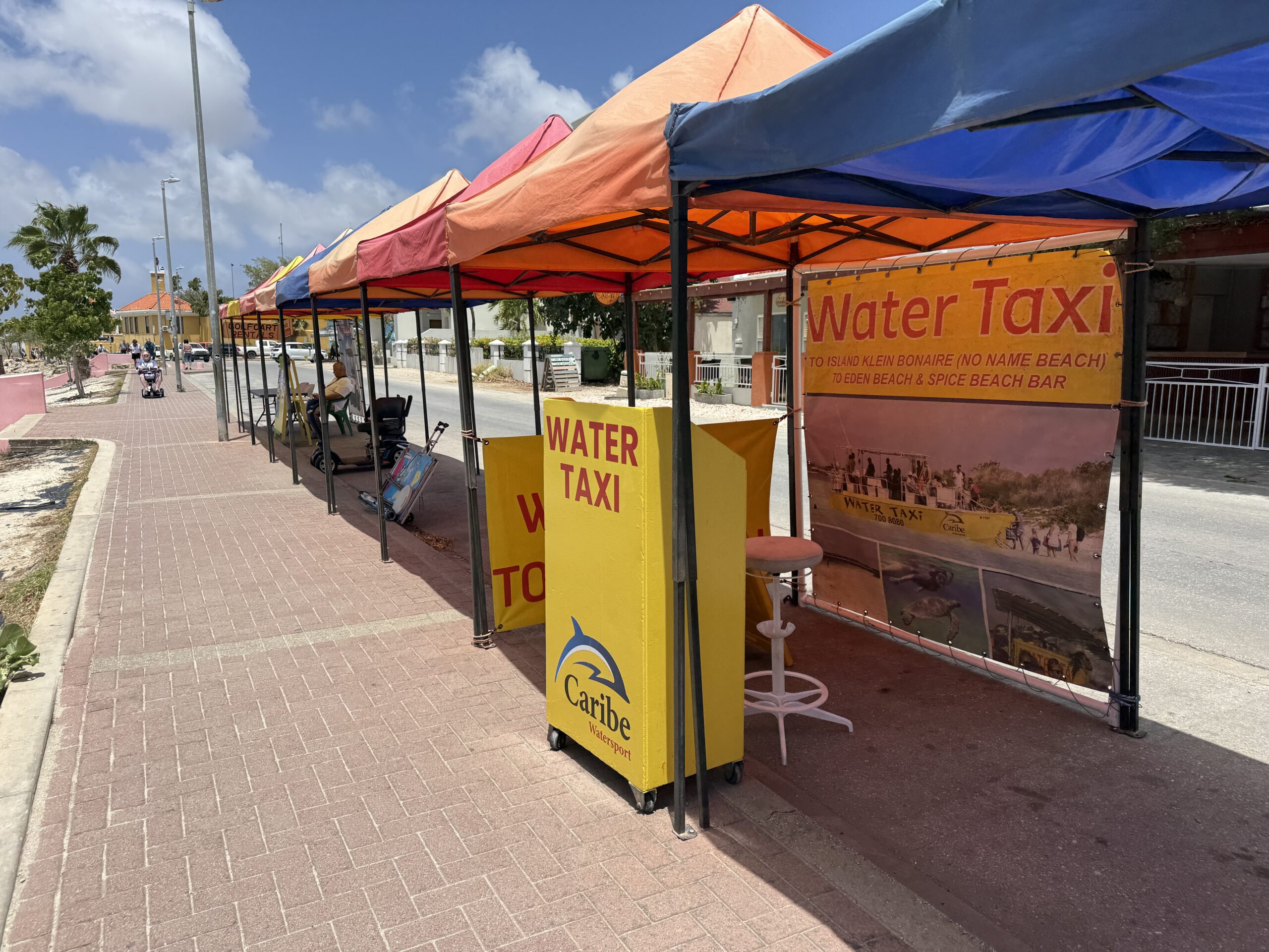 Right outside the port in Bonaire, you can rent golf carts or grab the water taxi