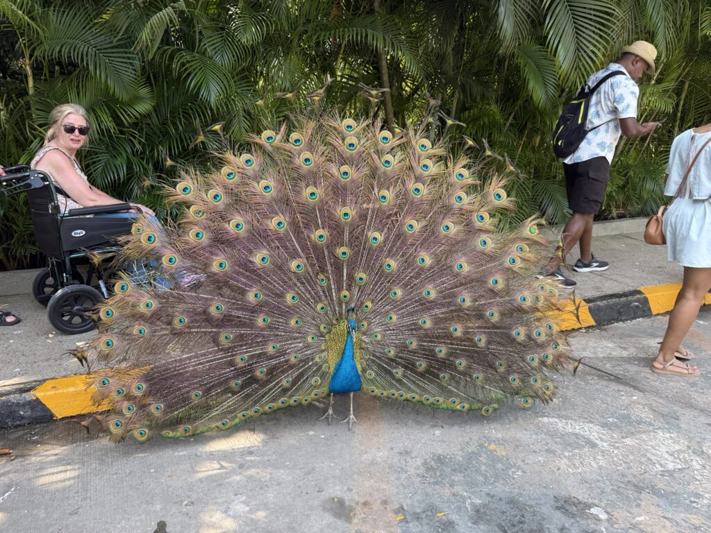 Port Oasis at Cartagena, Columbia cruise port
