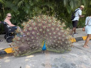 Port Oasis at Cartagena, Columbia cruise port