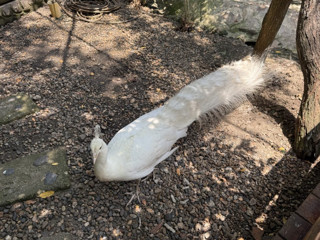 Port Oasis at Cartagena, Columbia cruise port