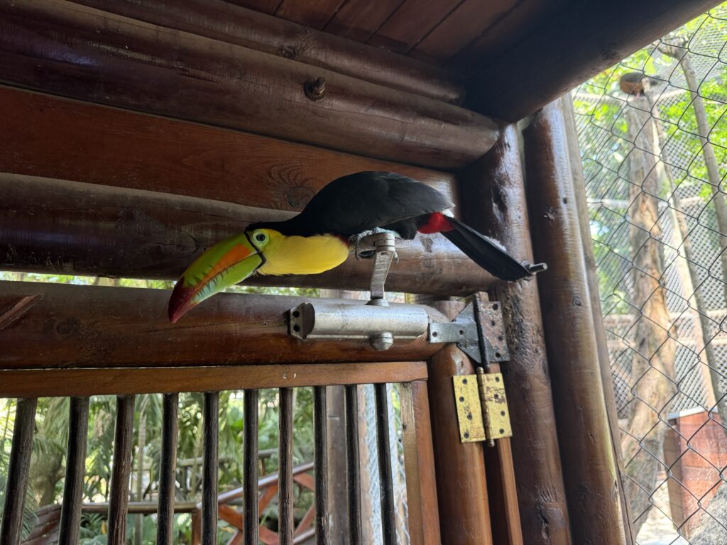 Port Oasis at Cartagena, Columbia cruise port