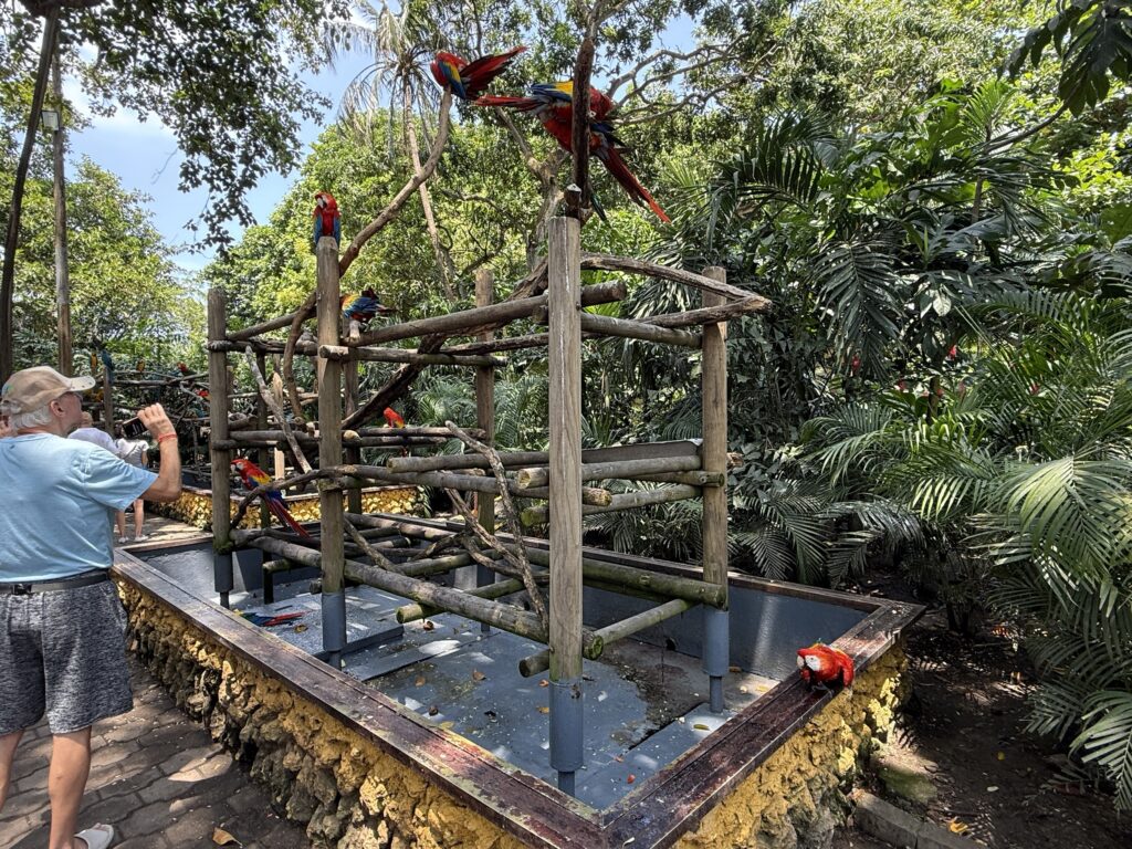 Port Oasis at Cartagena, Columbia cruise port