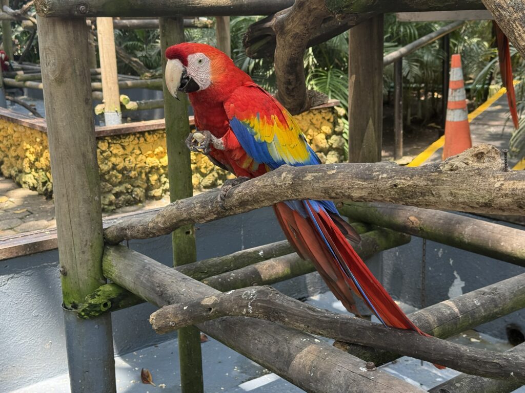 Port Oasis at Cartagena, Columbia cruise port