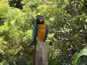 Port Oasis at Cartagena, Columbia cruise port