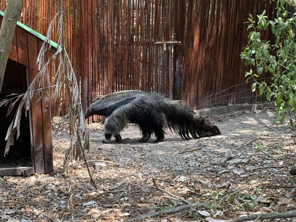 Port Oasis at Cartagena, Columbia cruise port
