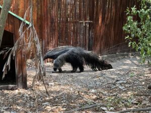Port Oasis at Cartagena, Columbia cruise port