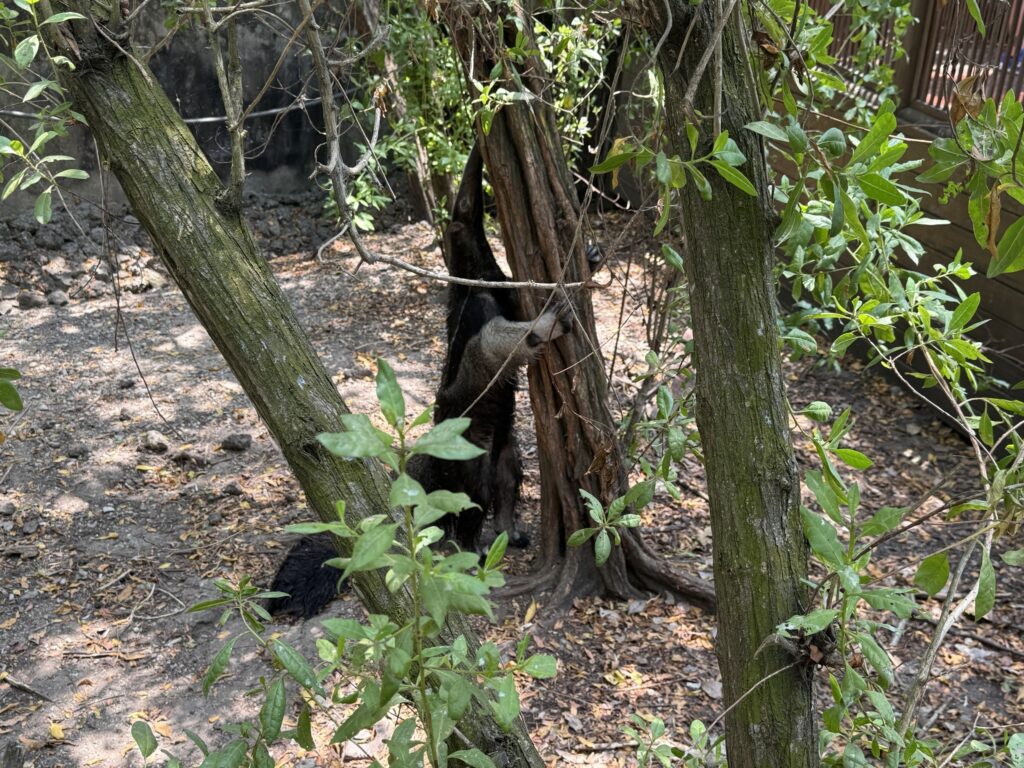 Port Oasis at Cartagena, Columbia cruise port