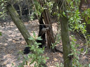 Port Oasis at Cartagena, Columbia cruise port