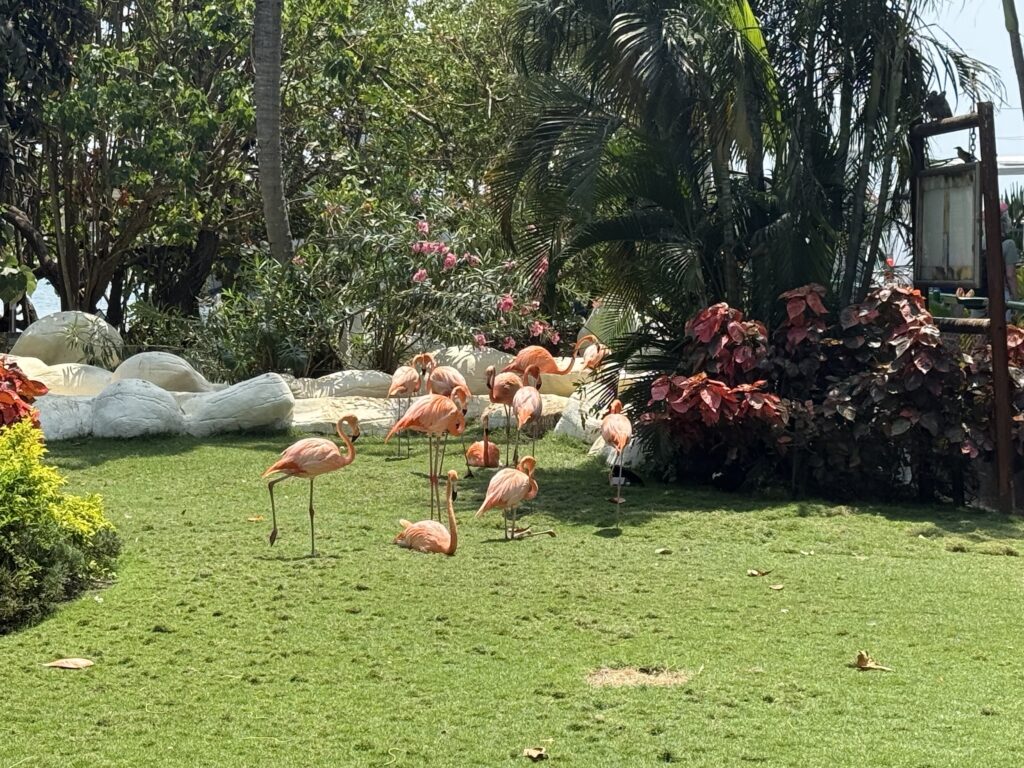 Port Oasis at Cartagena, Columbia cruise port