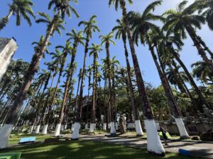 Vargas Park, Puerto Limon