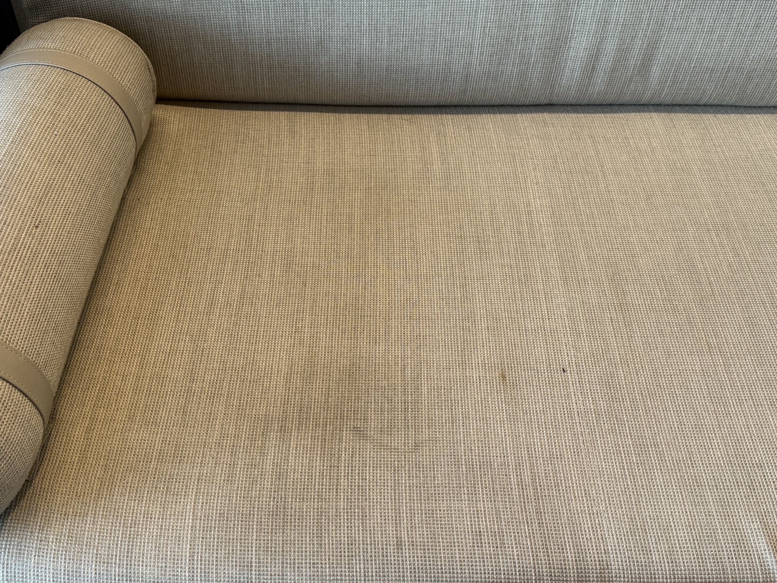 Stained couch in stateroom 8048 on Koningsdam