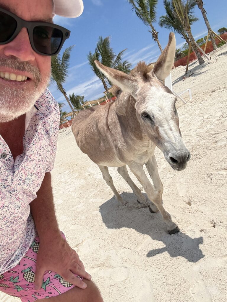 One of the "locals" at Half Moon Cay!