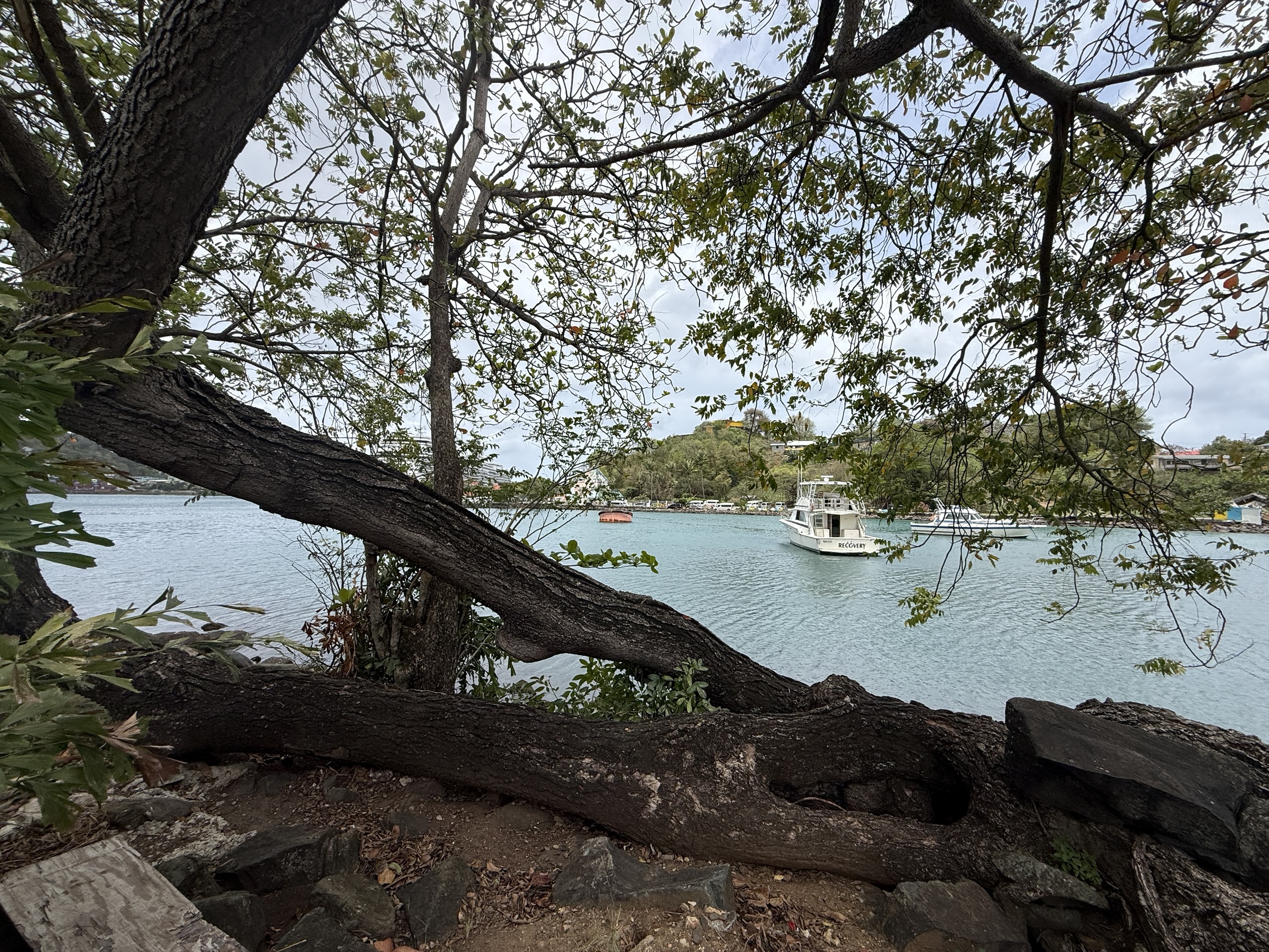 A small park near the cruise terminal in Castries