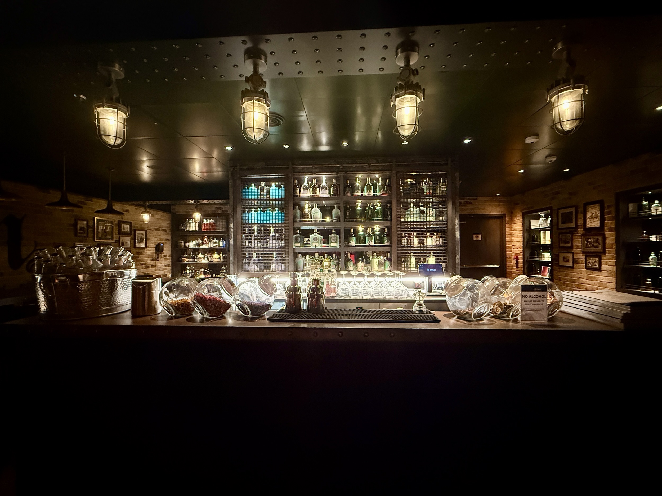 The Gin Project on MSC World America