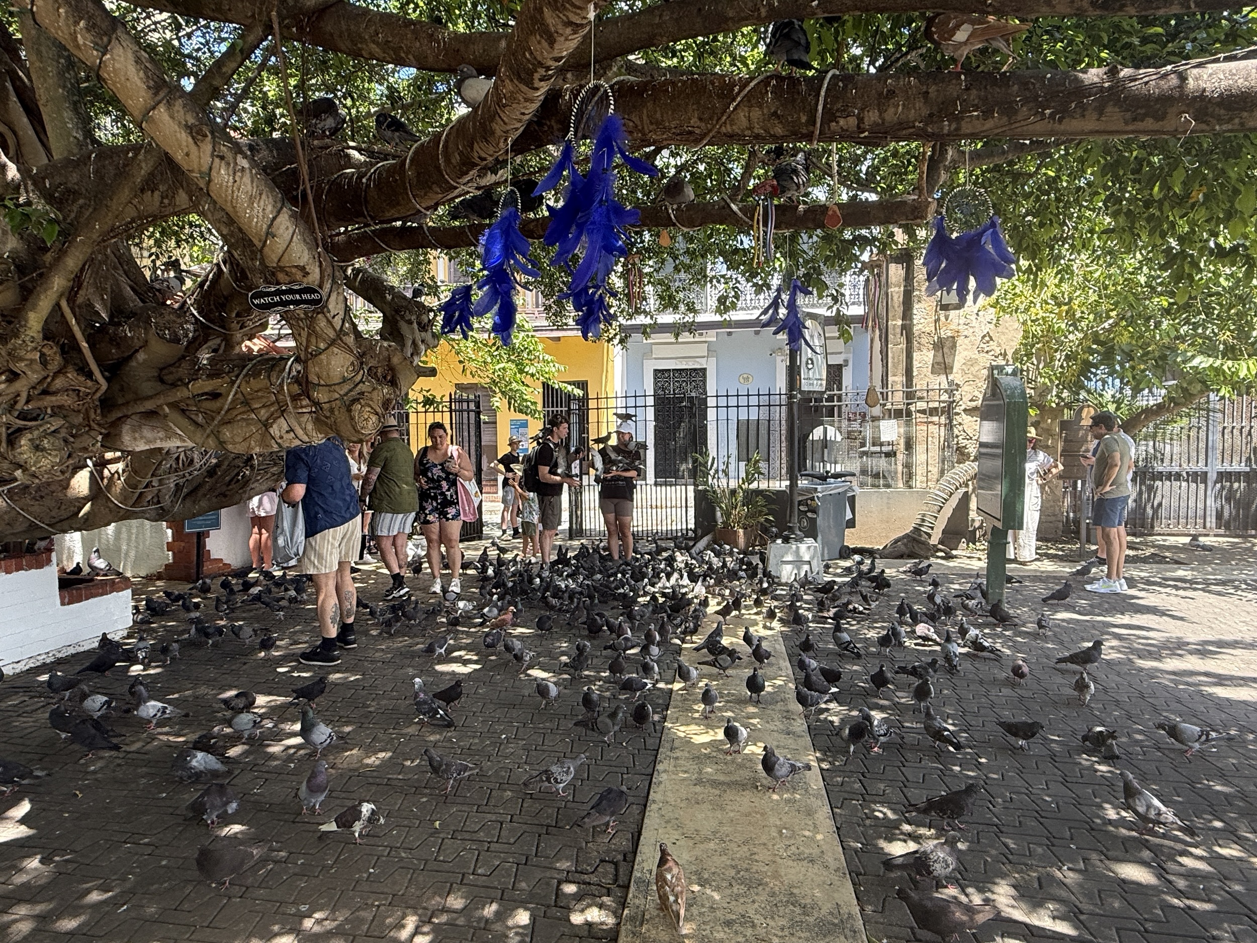 Parque de las Palomas in San Juan