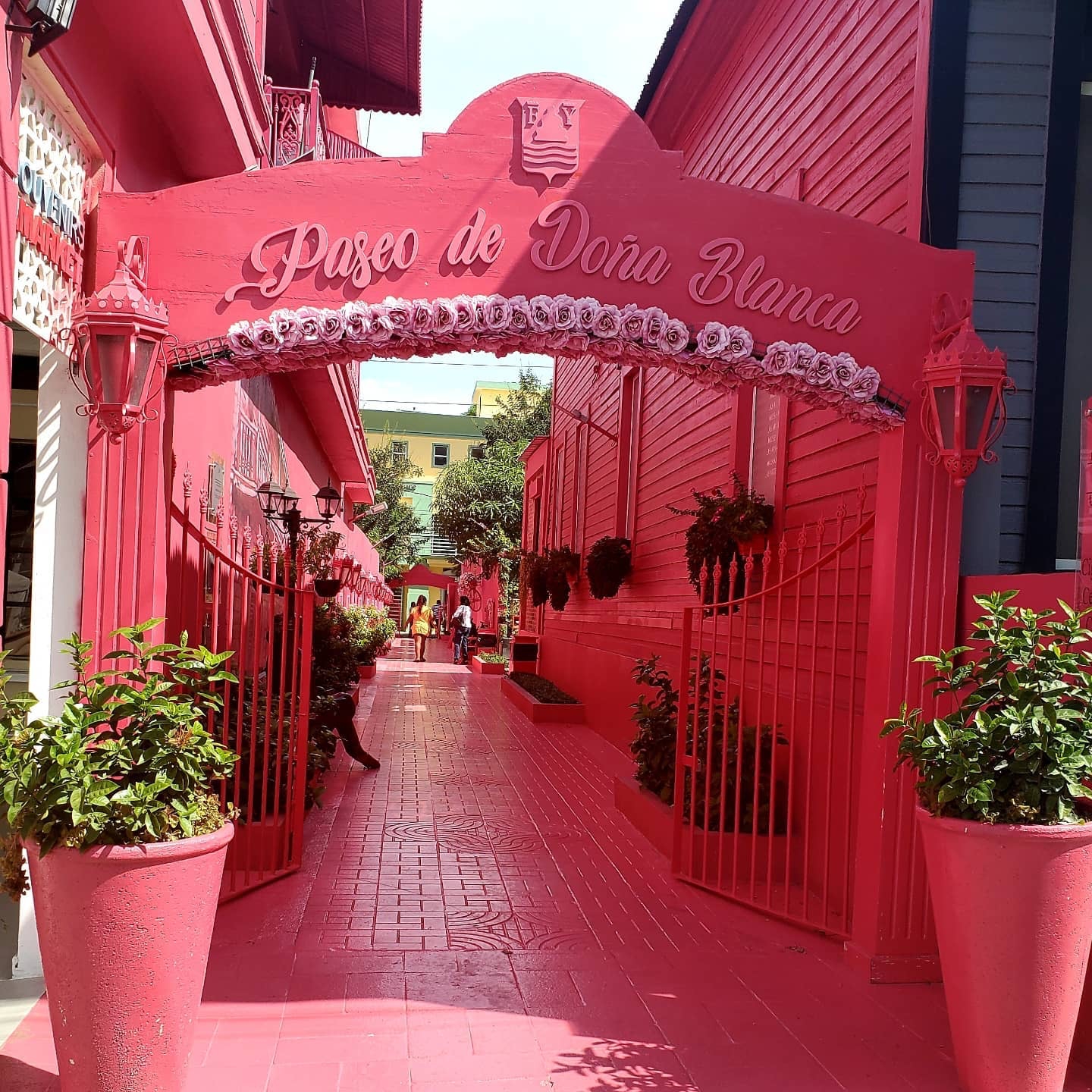 Pink Street, Puerto Plata DR